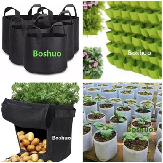 4 5 6 7 10 15 Galones Geotextil no tejido Fieltro Patata Tomate Zanahoria Cacahuete Pimienta Ajo Ñame Plantación de verduras Bolsa de cultivo con ventana Proveedor chino